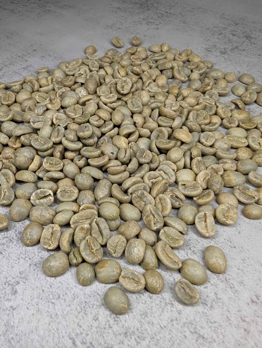 Unroasted green coffee beans before roasting